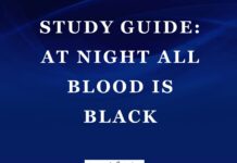 Plot Summary and Setting of At Night All Blood Is Black by David Diop At Night All Blood Is Black