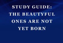Study Guide: The Beautyful Ones Are Not Yet Born by Ayi Kwei Armah The Beautyful Ones Are Not Yet Born cover