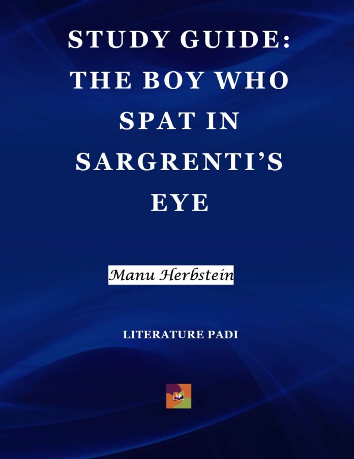 The Boy Who Spat in Sargrenti's Eye The Boy Who Spat in Sargrenti's Eye